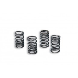 MALOSSI Reinforced Clutch Spring Set With External Ø 15mm And Length 31.5mm for Clutch