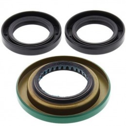 ALL BALLS Differential Seal Kit