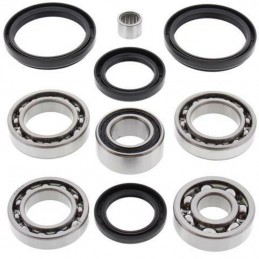 ALL BALLS Rear Differential Bearing & Seal Kit Arctic Cat/Kymco