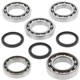 ALL BALLS Front Differential Bearing & Seal Kit Polaris RZR 800