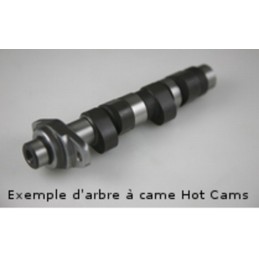HOT CAMS Camshaft - Stage 2 Polaris