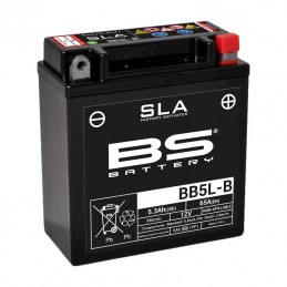 BS BATTERY Battery BB5L-B SLA Maintenance Free Factory Activated