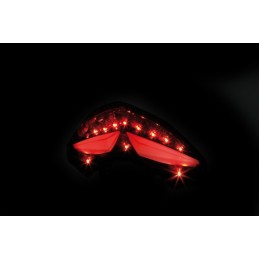 SHIN YO LED Taillight - Ducati Multistrada 1200