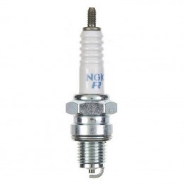 NGK Standard Spark Plug - DR6HS