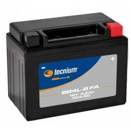 TECNIUM Battery Maintenance Free Factory Activated - BB4L-B