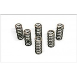 CLUTCH SPRING KIT FOR RM250 06-08