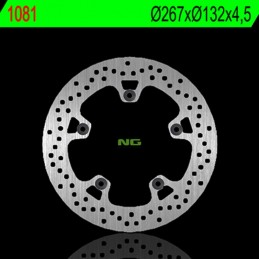 NG BRAKES Fix Brake Disc - 1081