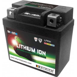 SKYRICH Battery Lithium-Ion - LFP01