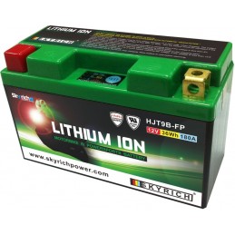 SKYRICH Battery Lithium-Ion - LT9B