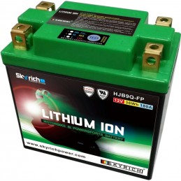 SKYRICH Battery Lithium-Ion - LIB9